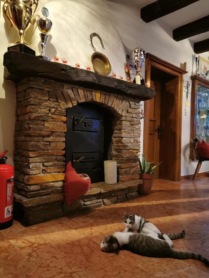 Gut Roemerhof Altenmarkt im Pongau Extérieur photo